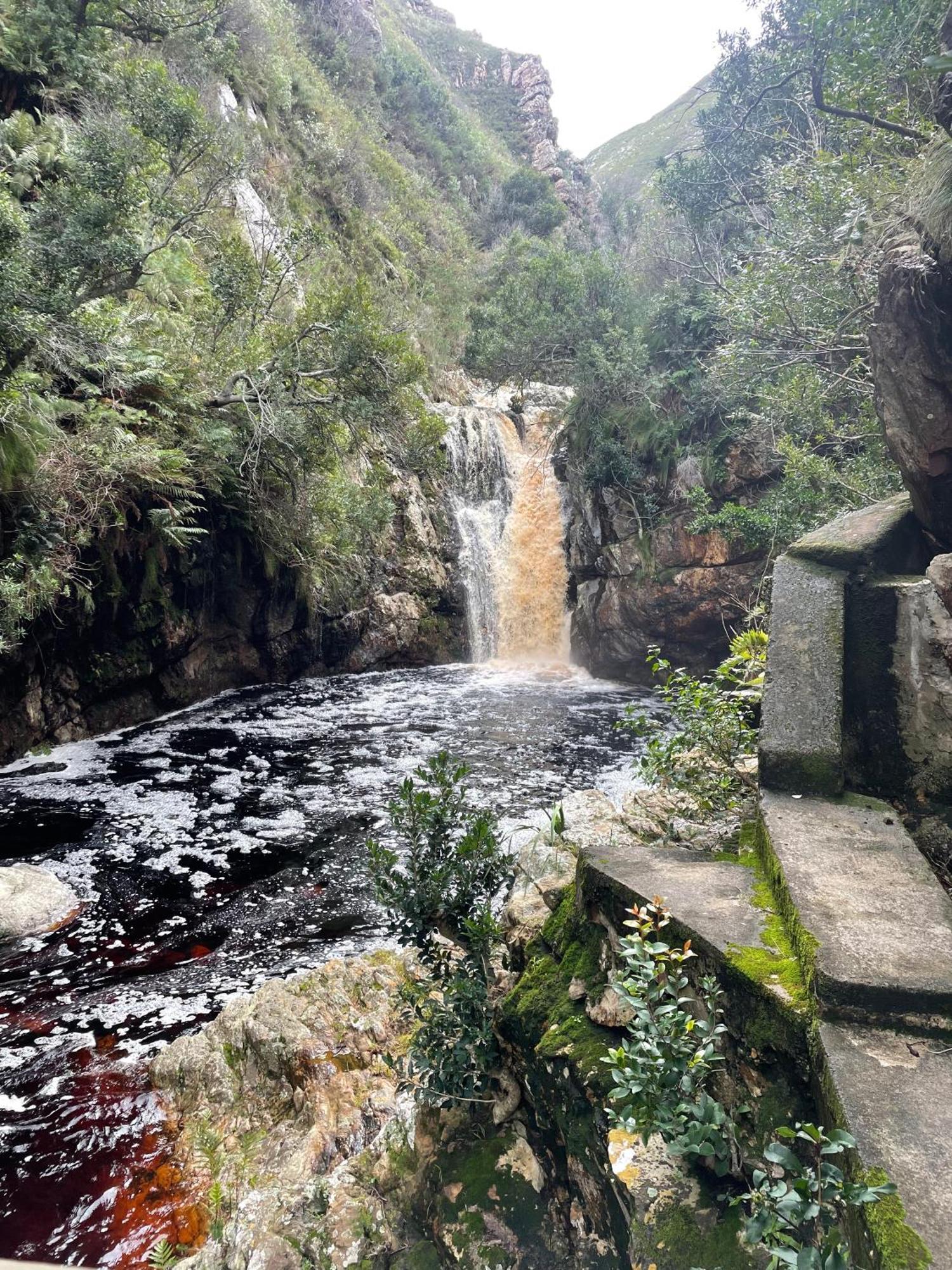 ホテル Oceanscape Bettyʼs Bay エクステリア 写真